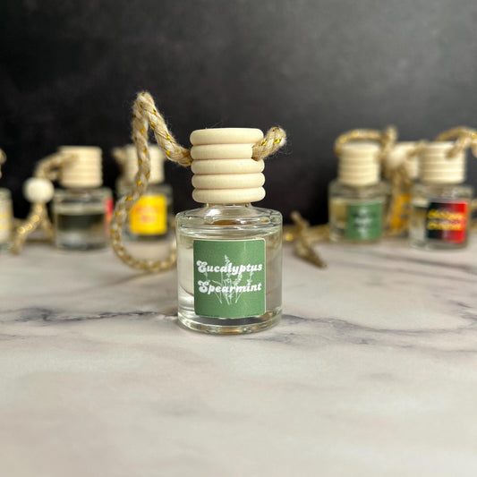 Car decorations Car Air Freshener Diffuser, Hanging Car Freshener New Car Gift Hanging Car Diffuser Car Accessories Car Freshies